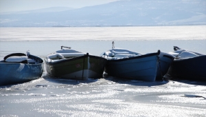 Denizli'de nilüferleriyle ünlü Işıklı Gölü, kısmen buz tuttu