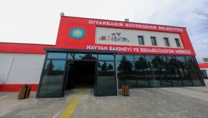 Diyarbakır'da yenilenen Hayvan Bakımevi ve Rehabilitasyon Merkezi açılacak 