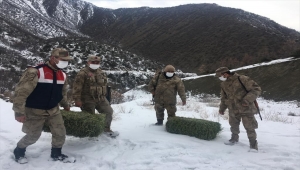 Elazığ'da jandarma ekipleri yaban hayatı için doğaya yem bıraktı