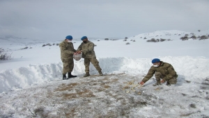 Erzincan'da komandolar, yaban hayvanları için doğaya yem ve yiyecek bıraktı