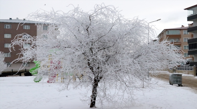 Erzurum, Ağrı ve Iğdır'da soğuk hava etkili oluyor