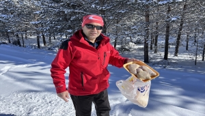 Erzurum'da nesli tükenme tehlikesindeki vaşak görüntülendi