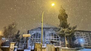 Erzurum ve Kars'ta kar yağışı etkili oldu