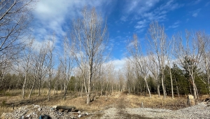 Eskişehir'de bıçaklı kavganın izini süren polis, iki cinayeti aydınlattı