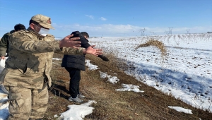 Gaziantep, Şanlıurfa ve Adıyaman'da hayvanlar için doğaya yem bırakıldı