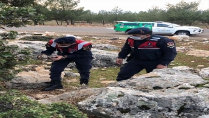 Gaziantep'te yaralı baykuşa jandarma sahip çıktı