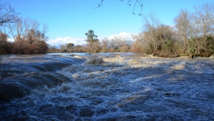 GÜNCELLEME 3 - Antalya'da ırmaklar ile dere taştı, iş yerleri ve tarım alanlarını su bastı