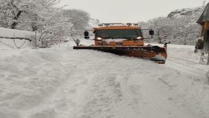 Hakkari'de mezra yoluna çığ düştü 