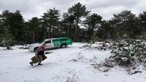 Hatay'da jandarmadan sokak hayvanlarına şefkat eli
