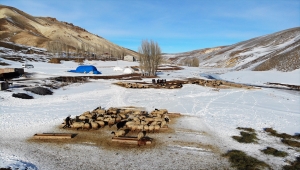 Kar ve soğuğa rağmen geçim kaynağı hayvanlarının ihtiyaçlarını aksatmıyorlar