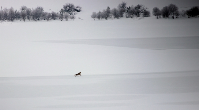 Kastamonu'da Kulaksızlar Barajı'nın yüzeyi buz tuttu