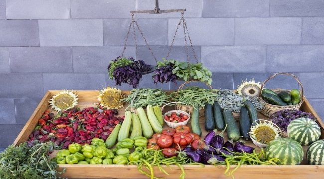 Kayseri'de organik tarım eğitimi başlıyor 