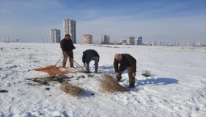 Kayseri'de yasa dışı yollarla avcılık yapan 5 kişi yakalandı