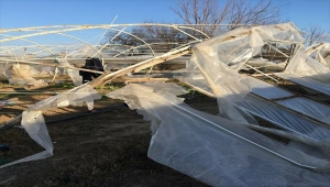 Kırklareli'deki fırtınada zarar gören üreticilere yardım edilecek