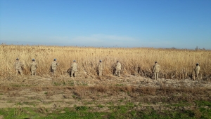 Manyas Gölü'nde kaybolan balıkçıyı arama çalışmaları sürüyor 
