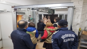 Ordu'da 2 ton kaçak et ele geçirildi