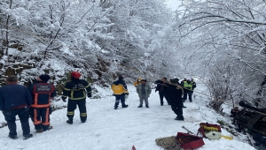 Ordu'da şarampole devrilen otomobilin sürücüsü yaralandı