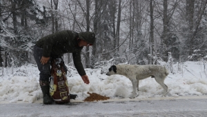 Sakarya'da hayvanseverler, sokak hayvanları için Çam Dağı'na yiyecek bıraktı