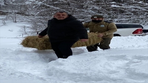 Sakarya ve Düzce'de hayvanlar için doğaya yiyecek bırakıldı