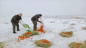 Şanlıurfa'da yaban hayvanları için doğaya yem bırakıldı
