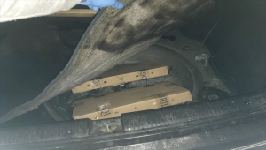 Sarp Sınır Kapısı'nda 5 bin su kaplumbağası ele geçirildi