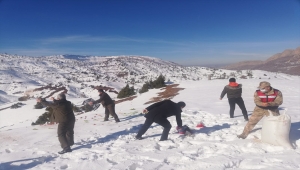 Siirt'te yaban hayvanları için doğaya yem bırakıldı