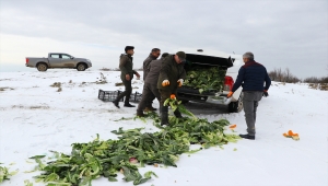 Tekirdağ'da yaban hayvanları için doğaya 2 ton yem bırakıldı 