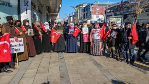 Teröristlerce iki kardeşi katledilen kadın dağa götürülen oğlu için gözyaşı döküyor
