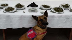 Trabzon'da uyuşturucu operasyonunda 2 kişi yakalandı