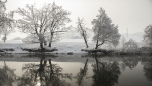 Tunceli'de soğuk havanın etkisiyle ağaç ve bitkiler kırağı tuttu 