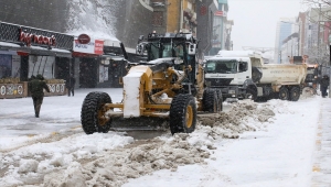 Van'da 120 bin ton kar şehir dışına taşındı