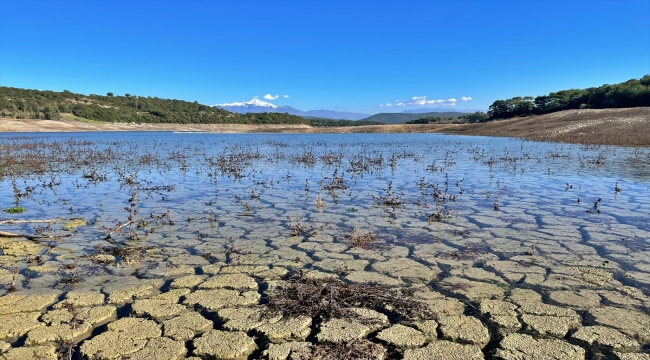 Yağışlar Çukurova'daki barajlara "can suyu" oldu