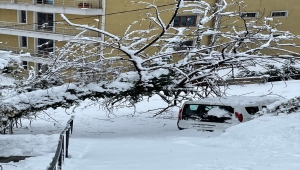 Zonguldak ve Düzce'de kar ulaşımı olumsuz etkiliyor