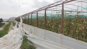 Antalya'da hortum ve fırtına seralara zarar verdi