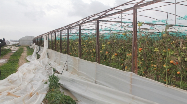 Antalya'da hortum ve fırtına seralara zarar verdi