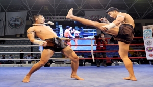 Avrupa Muaythai Şampiyonası, İstanbul'da başladı