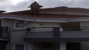 Aydın'da uyuşturucu operasyonunda gözaltına alınan 3 şüpheli tutuklandı