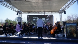 Balıkesir'de zeytinin üretimi, dokusu ve kültürü, "Zeytin Ülkesi Balıkesir" kitabında anlatıldı 