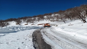 Bitlis'te ekiplerin karla mücadele çalışmaları aralıksız devam ediyor