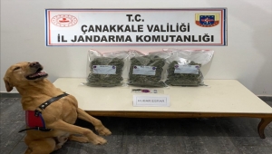 Çanakkale'de durdurulan araçta 2,5 kilogram esrar ele geçirildi