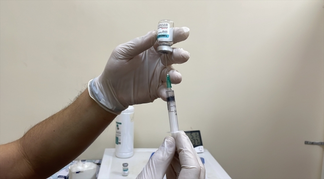 Hatay'da TURKOVAC aşısı yaptıranların sayısı 500'ü geçti