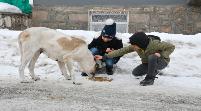 Kars'ta sokakları dolaşan çocuklar "can dostlar"ı besledi