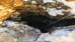 Kayseri'de bir haftadır kayıp inek düştüğü kayalıktan kurtarıldı