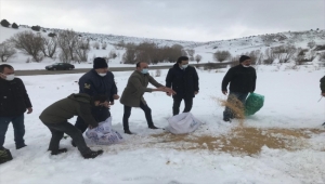 Kayseri'de doğaya 500 kilogram yem bırakıldı