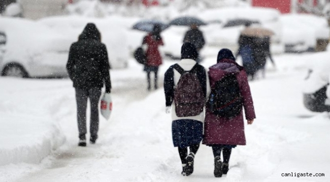 Kayseri'de eğitime kar engeli! Ek duyuru ile Kayseri İl Milli Eğitim Müdürlüğü okulların tatil olduğu ilçeleri açıkladı.