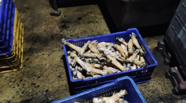 Kayseri'de ruhsatsız çalışan hayvansal yan ürün işletmeleri denetlendi