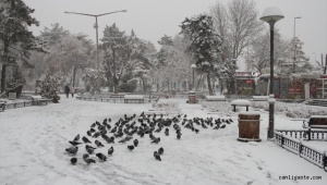Kayseri'de yoğun kar yağışı etkili oluyor
