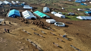 Konargöçer besicilerin kış aylarındaki adresi: Şanlıurfa