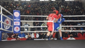 Oral Arslan Genç Erkekler ve Kadınlar Ferdi Boks Şampiyonası, Adana'da başladı