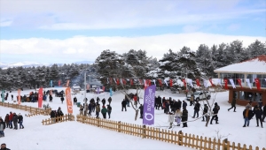 Ordu Mesudiye'de yaylada düzenlenen festival ilgi gördü